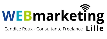 Webmarketing-lille