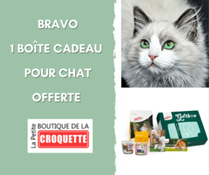 concours facebook